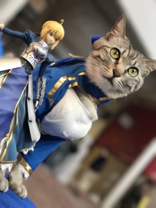 cosplay-cat3